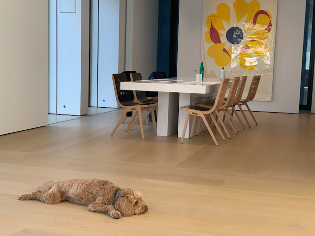 Modigliani taking an art break at the Hill Art Foundation